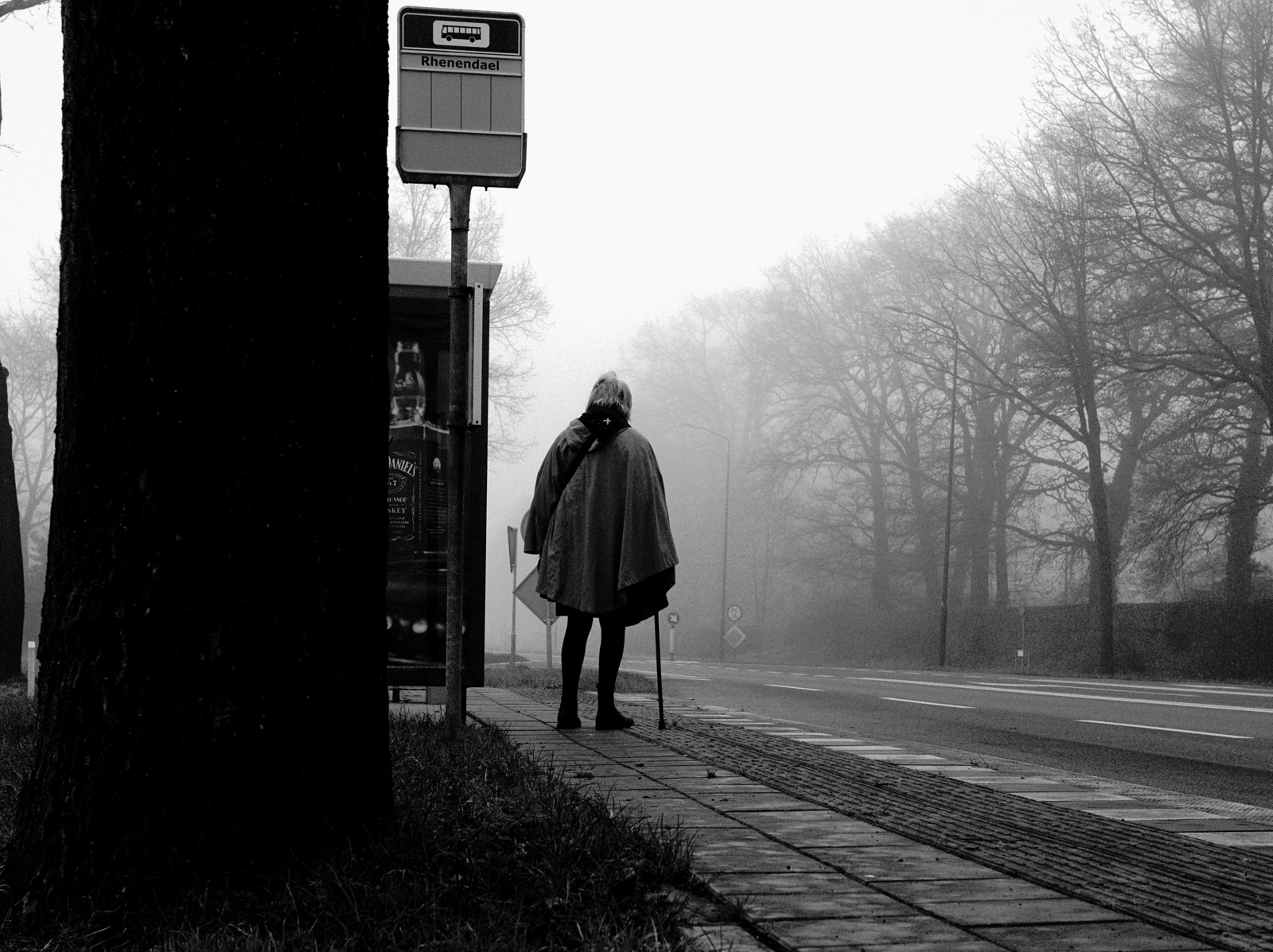 Person waiting beside a bus stop on a foggy road.