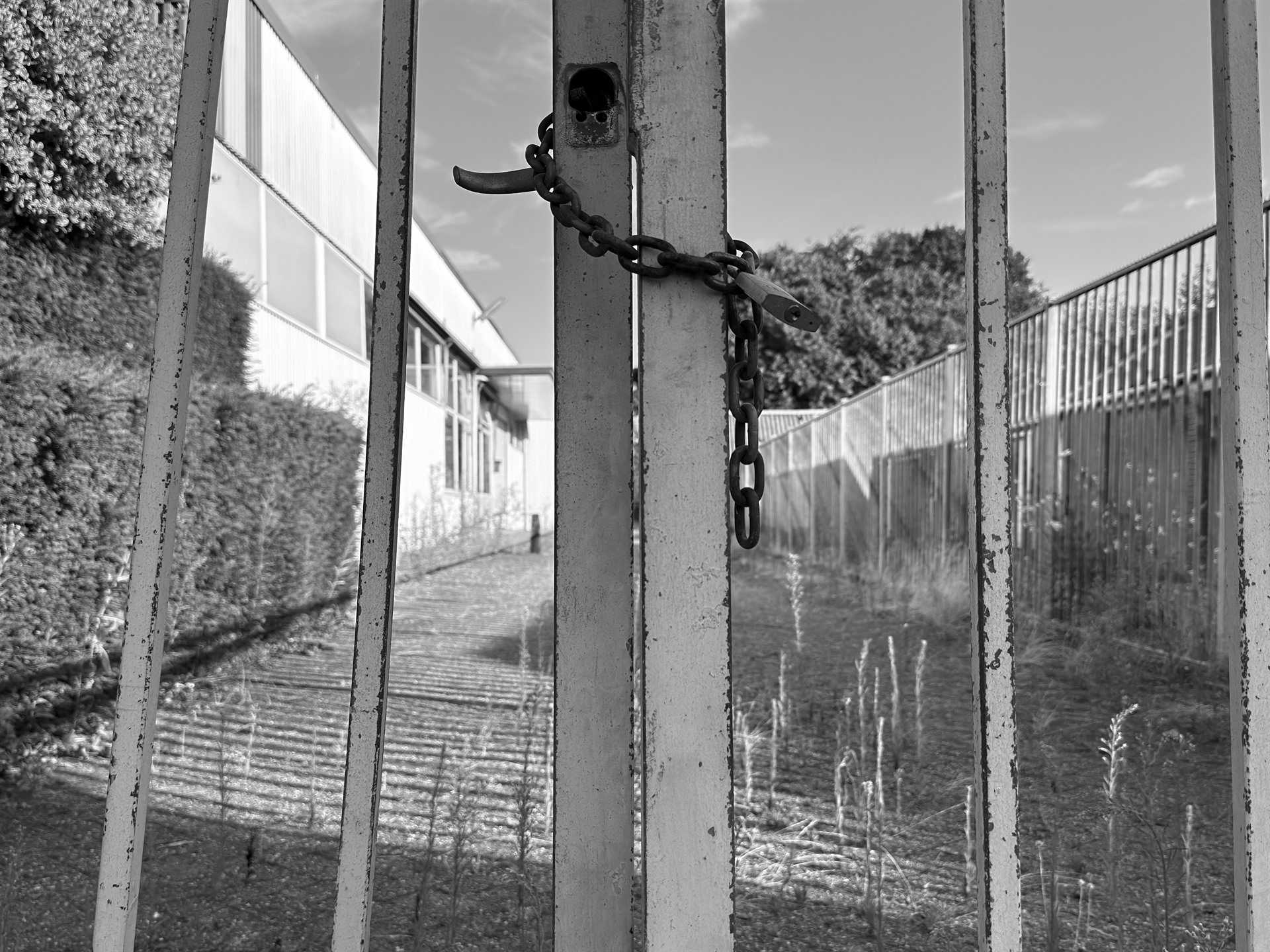 Chain looped through a weathered metal gate beside an overgrown passage.
