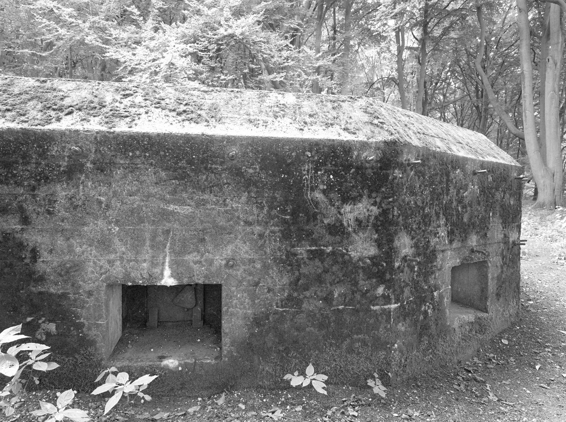 Low concrete bunker-like structure partly covered by moss and vegetation.